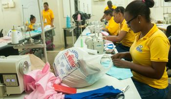 Unos 5 mil jóvenes podrán incorporarse a mercado laboral con programa del Primer Empleo