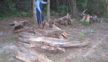 Anciano vende madera para pagar el tratamiento de su mujer con cáncer