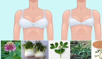 6 plantas que causan el crecimiento de los senosâ?¦ olvídate de las siliconas!