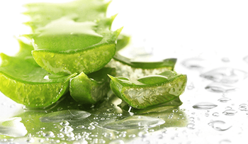 Remedios para las hemorroides