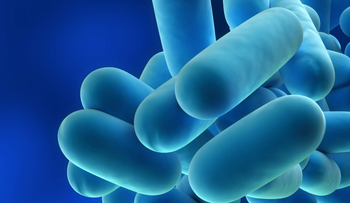 Cierran hotel de Atlanta ante posible foco de legionella