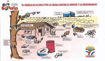 ¿Se puede prevenir la chikungunya?
