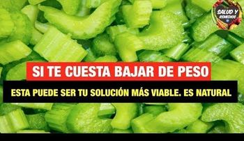 Prepara el Apio de esta forma y me lo agradecerás para siempre, porque cura la hepatitis, gastritis, asma, tiroides y pierde hasta 12 kilos por semana! 