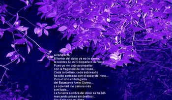 Rosas para el alma  ¡Como torbellino!