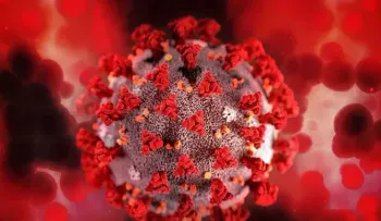 Descubren cinco compuestos que inhiben la proteína que replica el SARS-CoV-2