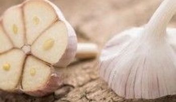 14 tipos de cáncer y 13 de infección que mata el ajo. ¿Por qué los médicos no lo recetan?