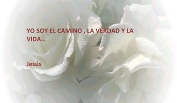 Rosas para el alma  Yo soy.