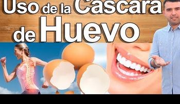 La cáscara de huevo y su imperdible uso