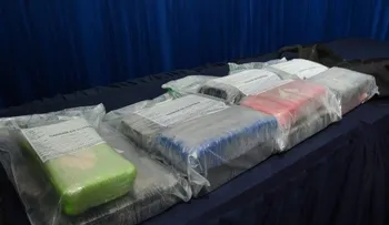 DNCD decomisa 15 paquetes de cocaína en Multimodal Caucedo