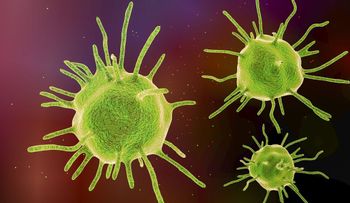 Cuál es la "Enfermedad X" incluida por la OMS de posibles epidemias mundiales