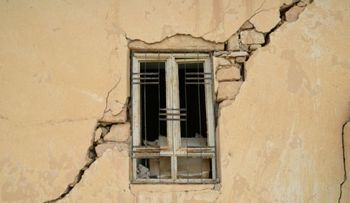 Video: descubren bacteria capaz de lograr edificios se reparen a sí mismos