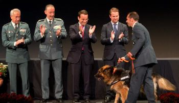 España premia a perro policia por su valentía