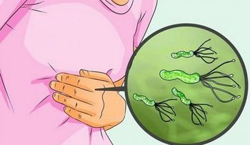 Médico japonés publica cómo eliminar la bacteria Helicobacter Pylori fácilmente 
