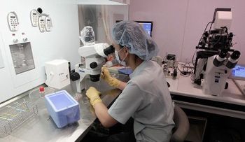 Un estudiante chino descubre por qué los médicos no vencen el cáncer