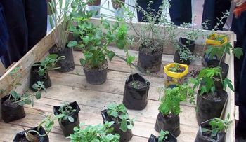 Alcaldía de Baruta concientiza a sus estudiantes sobre cuidado ambiental