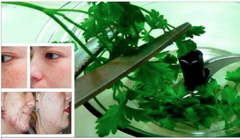 Prueba lavar con esto tu cara antes de acostarte y eliminaras las manchas y las arrugas. Sin recurrir a láser