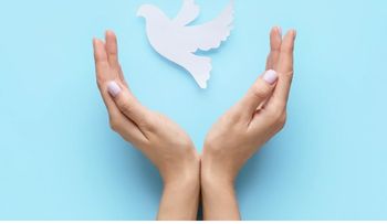 La paz no se busca fuera, se cultiva dentro