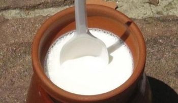 El exótico yogurt búlgaro: elixir de longevidad y milagro dietético