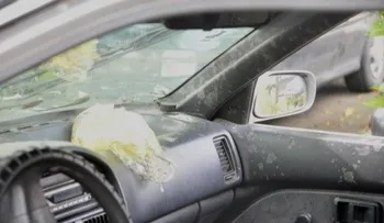 Vuelven a lanzar bombas fétidas a pasajeros de la ruta del V Centenario
