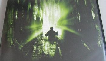 La naturaleza del miedo