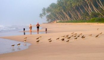 Ejercicios de cardio que puedes hacer en la playa: presta atención