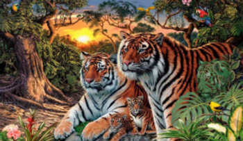 ¿Cuántos tigres logras ver en este reto visual?