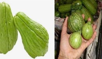 Di no a la diálisis, no pierdas tus riñones: regenéralo con este remedio natural