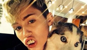 Miley Cyrus se desploma en pleno concierto