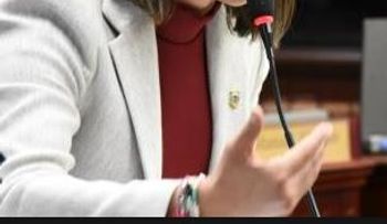 Faride Raful somete al Congreso un plan de amnistía para deudores del Impuesto sobre la Renta 