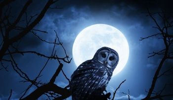 La luna llena provoca insomnio