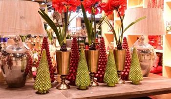 Casa Cuesta inicia su â??Navidadâ?? â??Espectacular 2015â?