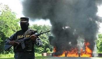 294 kilos de drogas incinerada por la Procuraduría