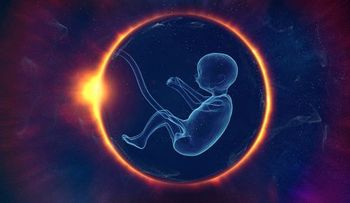 Hallan el mayor enigma de la formación de los humanos