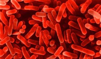 Los antibióticos nos llevarán a un escenario apocalíptico 