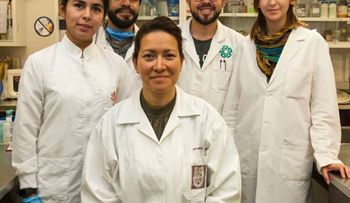 Científica mexicana logra eliminar al 100% virus del papiloma humano