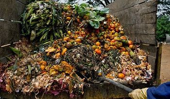 La tercera parte de la comida del mundo se desperdicia 