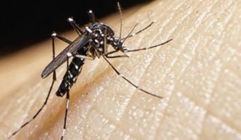 DGM pone a disposición SP sus medios para evitar entrada zika a RD