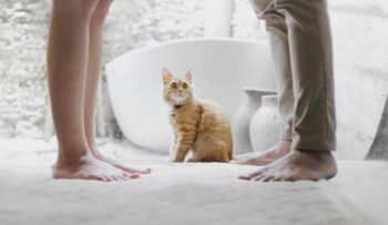Qué hacer si tu pareja te lleva gavela en el deseo sexual 