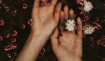 Expertos explican los secretos del sexo