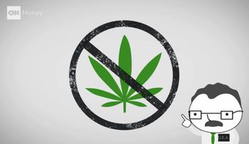 ¿Qué es peor: la marihuana o el alcohol?