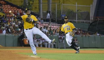 Águilas derrotan Gigantes y empatan primer lugar; Los Tigres siguen perdiendo y Leones blanquean a los Toros