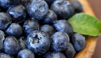 5 alimentos que ayudan a tu cerebro a eliminar el estrés