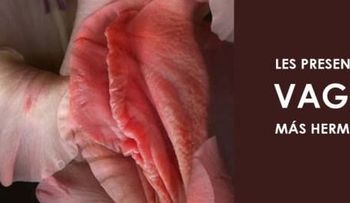 Datos que probablemente no conocías; la palabra "vagina" significa vaina y la palabra "vulva" envoltura