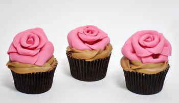 Rosas para el alma: Resultado perfecto