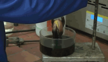 Una receta de pan que te fascinará (Video)