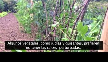 10 trucos para hurtos o jardines (Video)