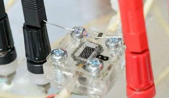Una mini-bateria que transforma la orina en electricidad