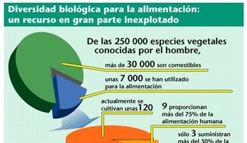Haga un esfuerzo para comer bien y nutrirse, no recurra a la pobreza alimenticia 