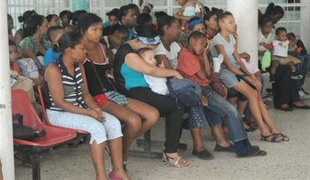 OPS confirma persiste dolor por efectos de chikungunya en la República Dominicana