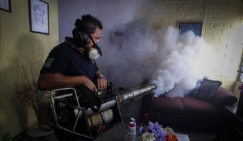Chile recomienda a mujeres embarazadas no viajar a países con brotes de zika